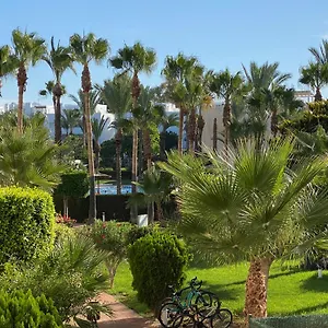 Discover Perfect Apartment, Only 300m Away Apartamento